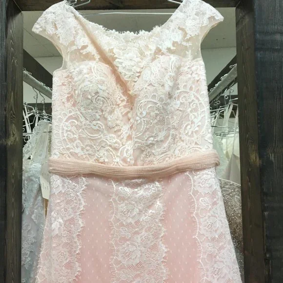 BLUSH Champagne Lace Rustic Wedding Dress, Cap Sleeve, Boat Neck Elegant Mother - Picture 8 of 15